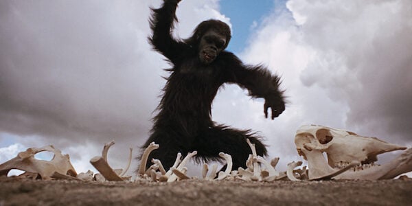 Ape from 2001 throwing bone
