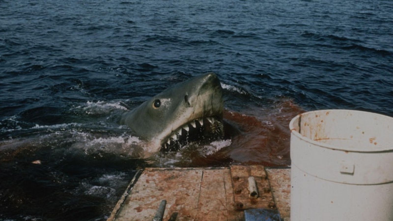 A giant killer shark with blood on its jaws pops out of the water near the side of a boat