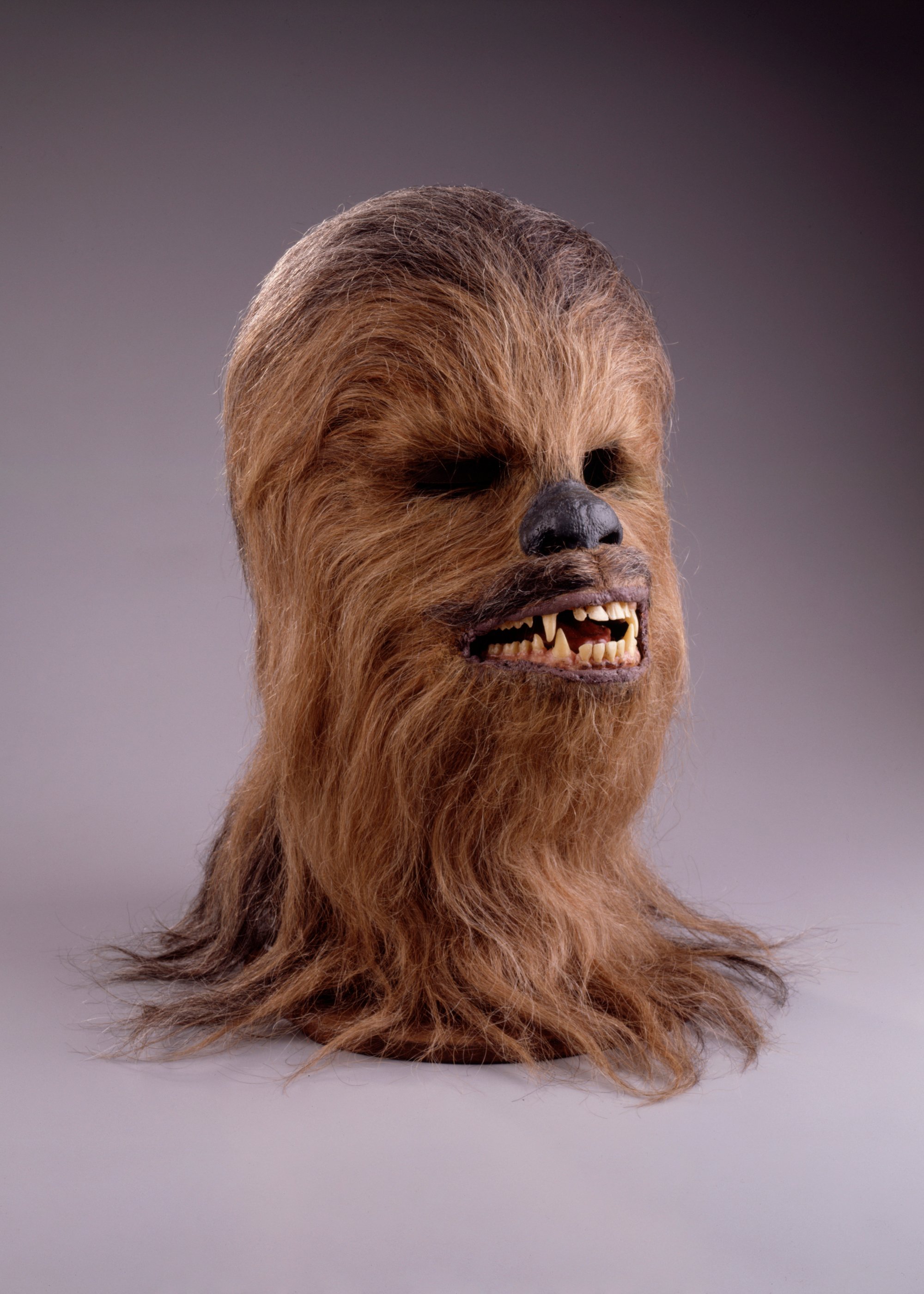 The head of the character Chewbacca, mouth slightly open showing fangs