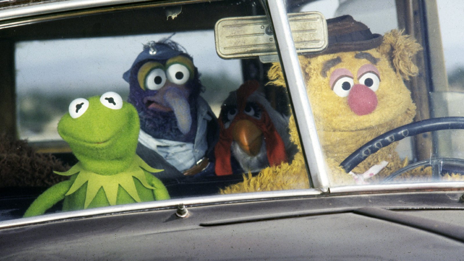 The characters Kermit, Gonzo, Camilla, and Fozzy, who are all puppets, are in a car.
