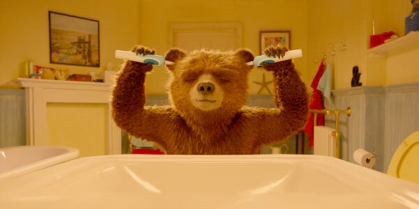 Paddington the bear is sticking toothbrushes in his ears