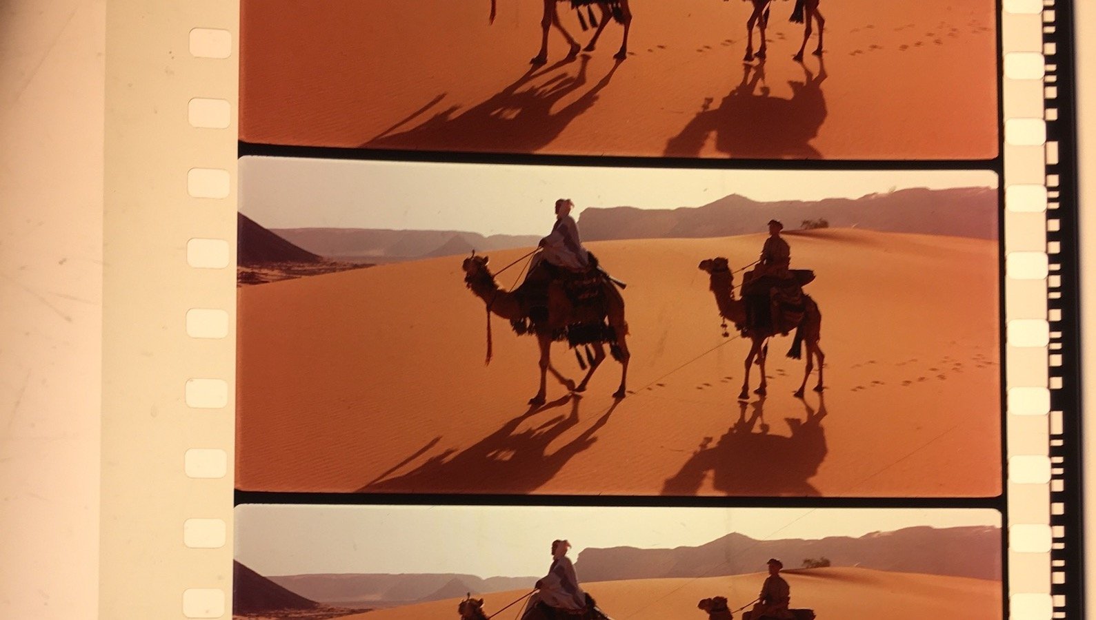 A close-up of a 70mm film strip, showing camels silhouetted against a desert from Lawrence of Arabia