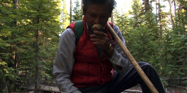 A man holds a mushroom up to his nose while crouching in the woods.