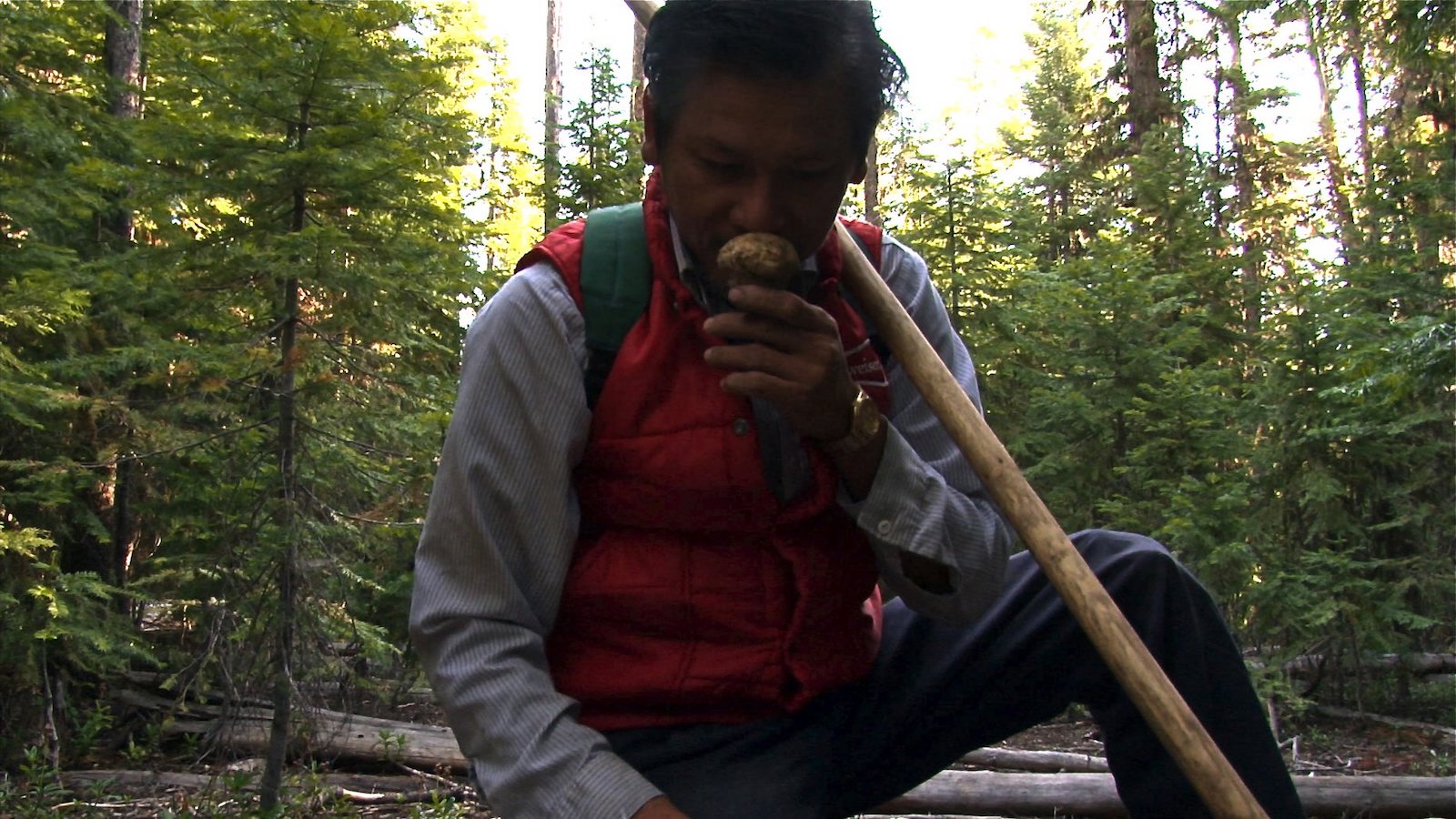 A man holds a mushroom up to his nose while crouching in the woods.