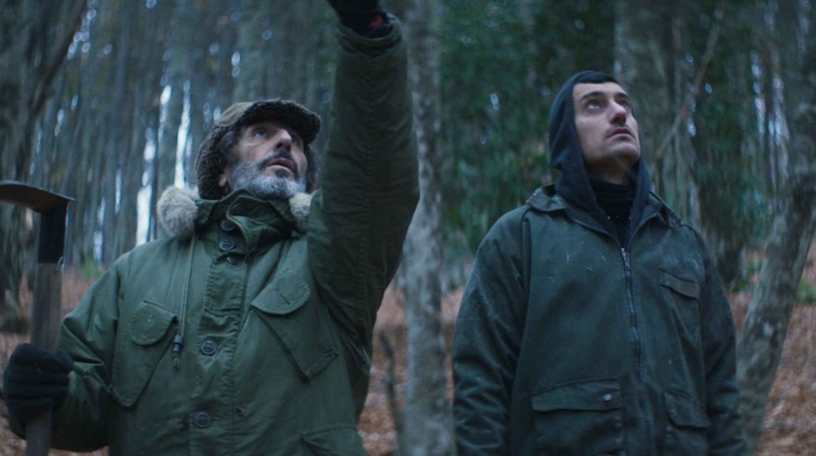 Two men in a forest look up at the trees , one pointing with his arm.
