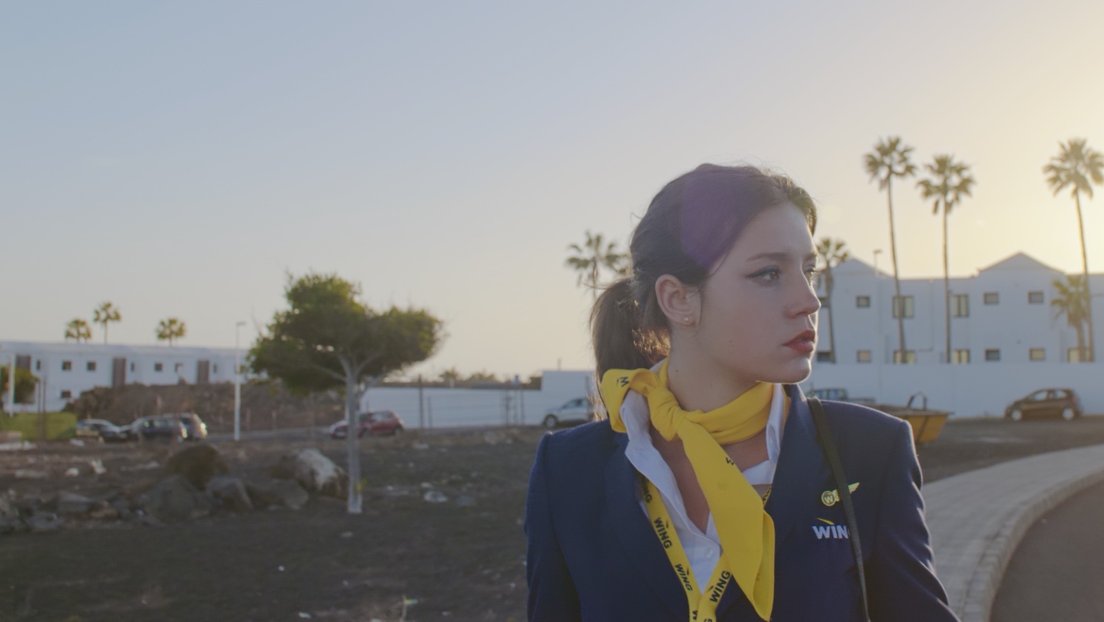 A flight attendant wearing a yellow scarf looks off-camera to the left with a distressed expression, against a sunset.