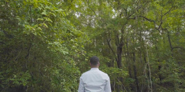 A man stands, back to camera, in front of an expansive green forest.