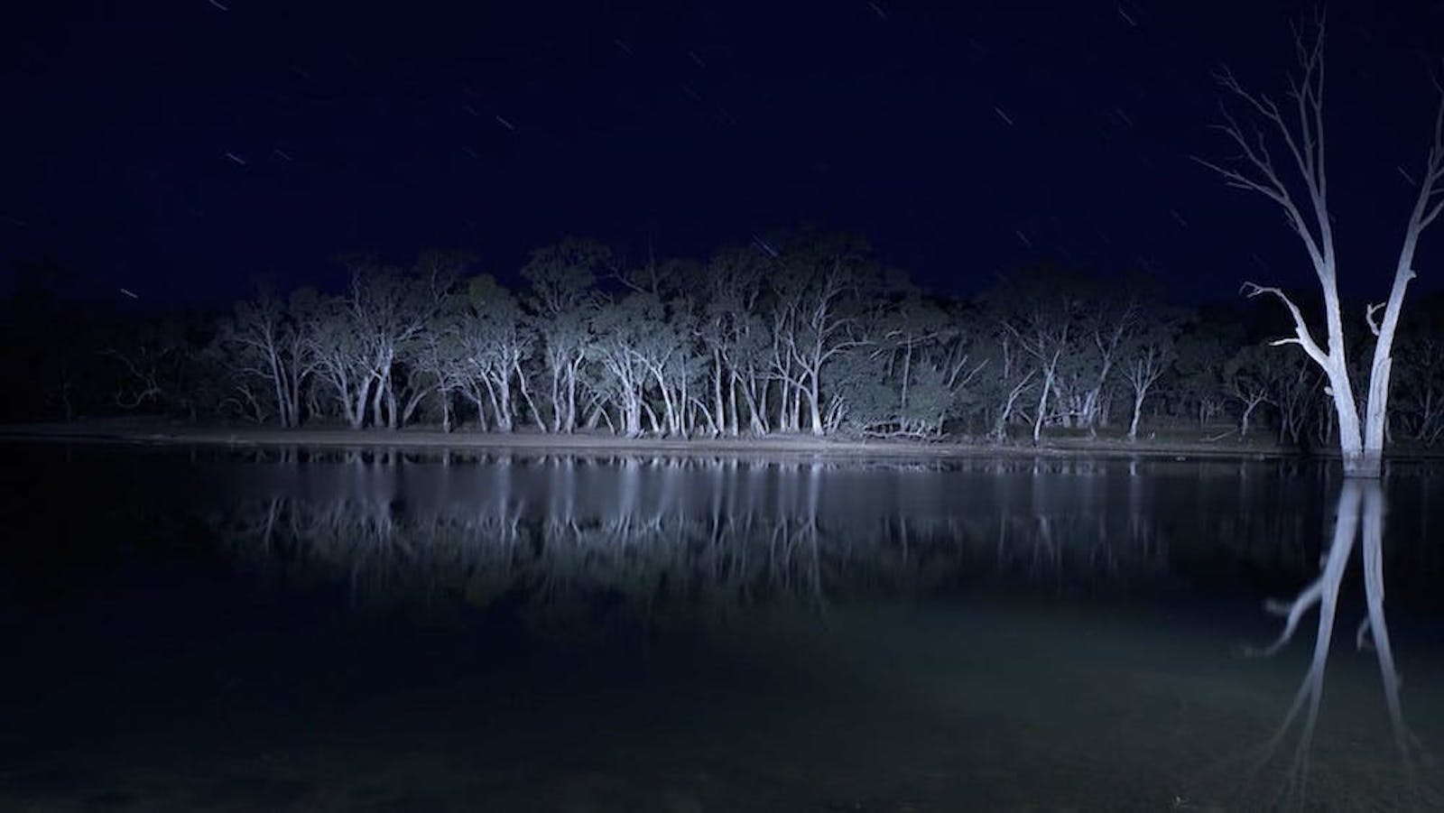 An image of an ominous lake and trees at night
