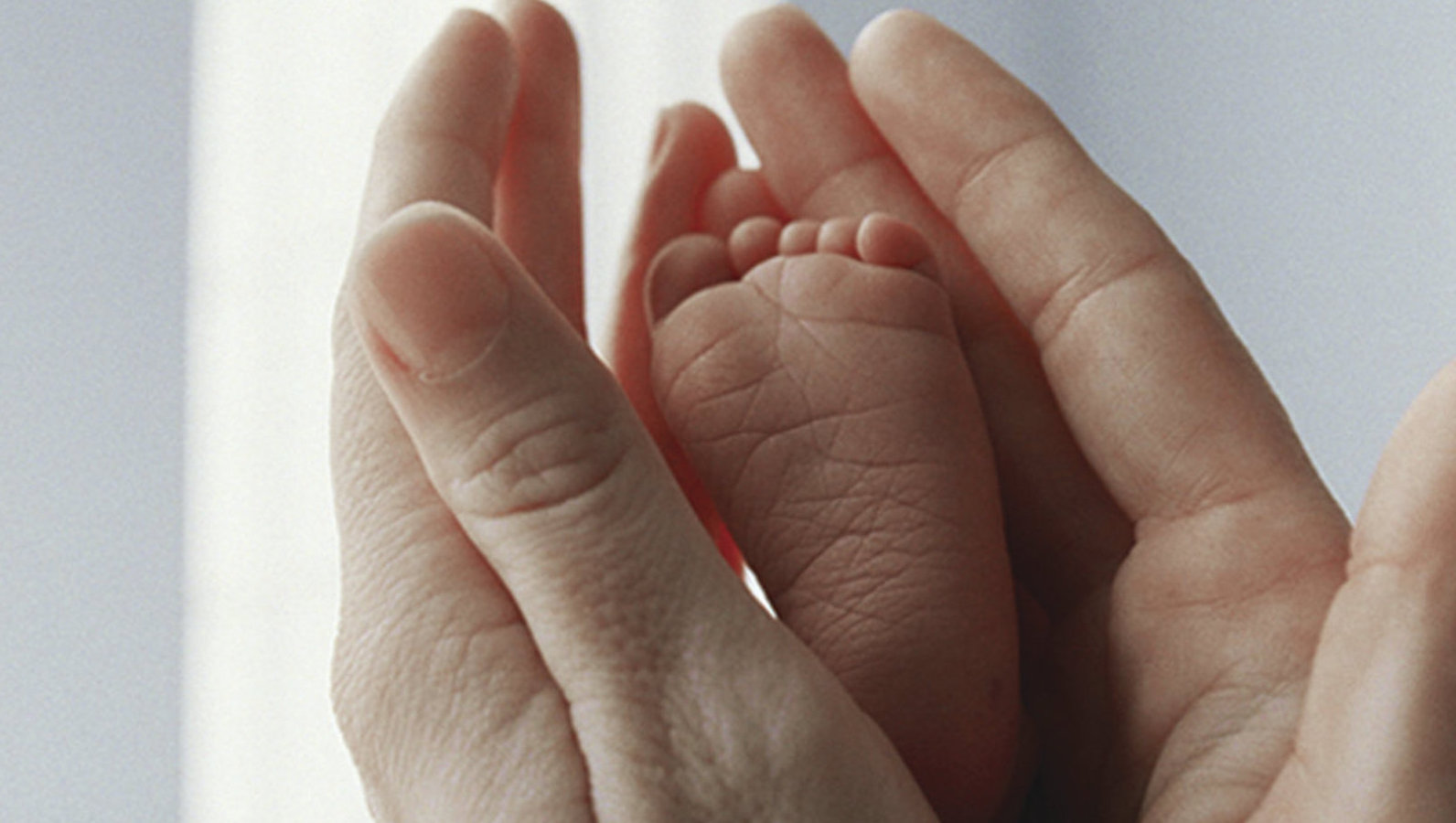 A tiny baby foot cradled in two adult hands in closeup
