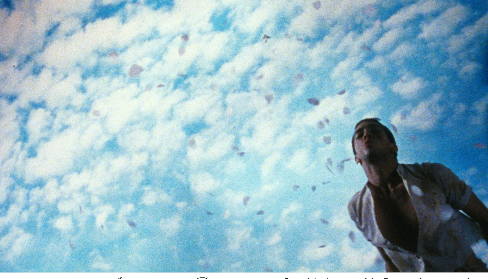 A man surrounded by floating flower petals against a blue sky