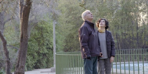 A man and woman stand outside in a park looking up at the sky, wearing coats