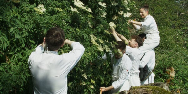 A group of people in chef uniforms smile as they pick herbs from trees