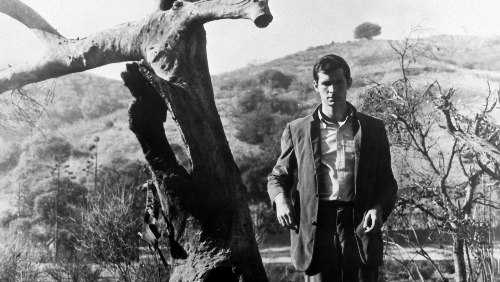 An ominous black and white photo of a man standing next to a gnarled tree looking at camera from a distance, his face partly shadowed