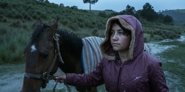 A young woman in a purple hooded coat leads a horse across a grassy terrain