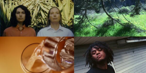 Four images in a quad setup: two women against yellow grass (top left), a tree with fallen boughs touching the ground (top right), a young black man with long hair standing against a white house (bottom right), a glass pouring water into another (bottom left)
