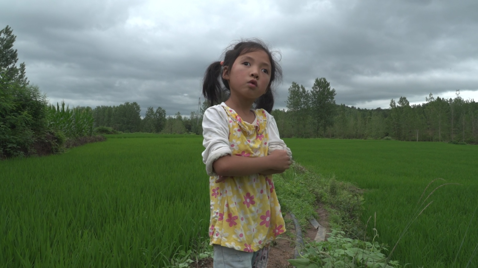A little girl stands with her arms crossed against a vast green landscape