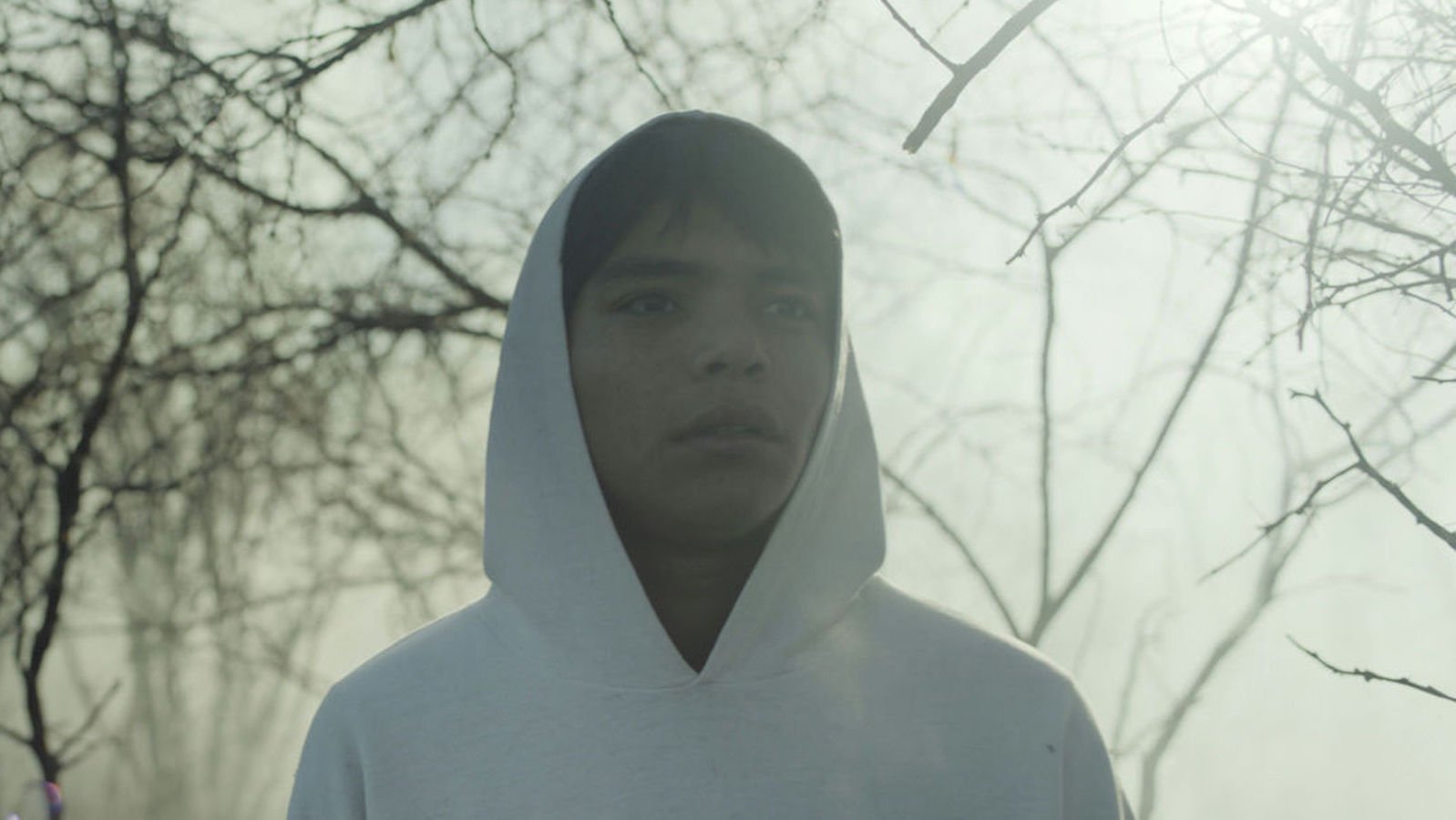 A teenage boy in a hooded white sweatshirt stands in a forest surrounded by bare tree branches, looking off camera concerned