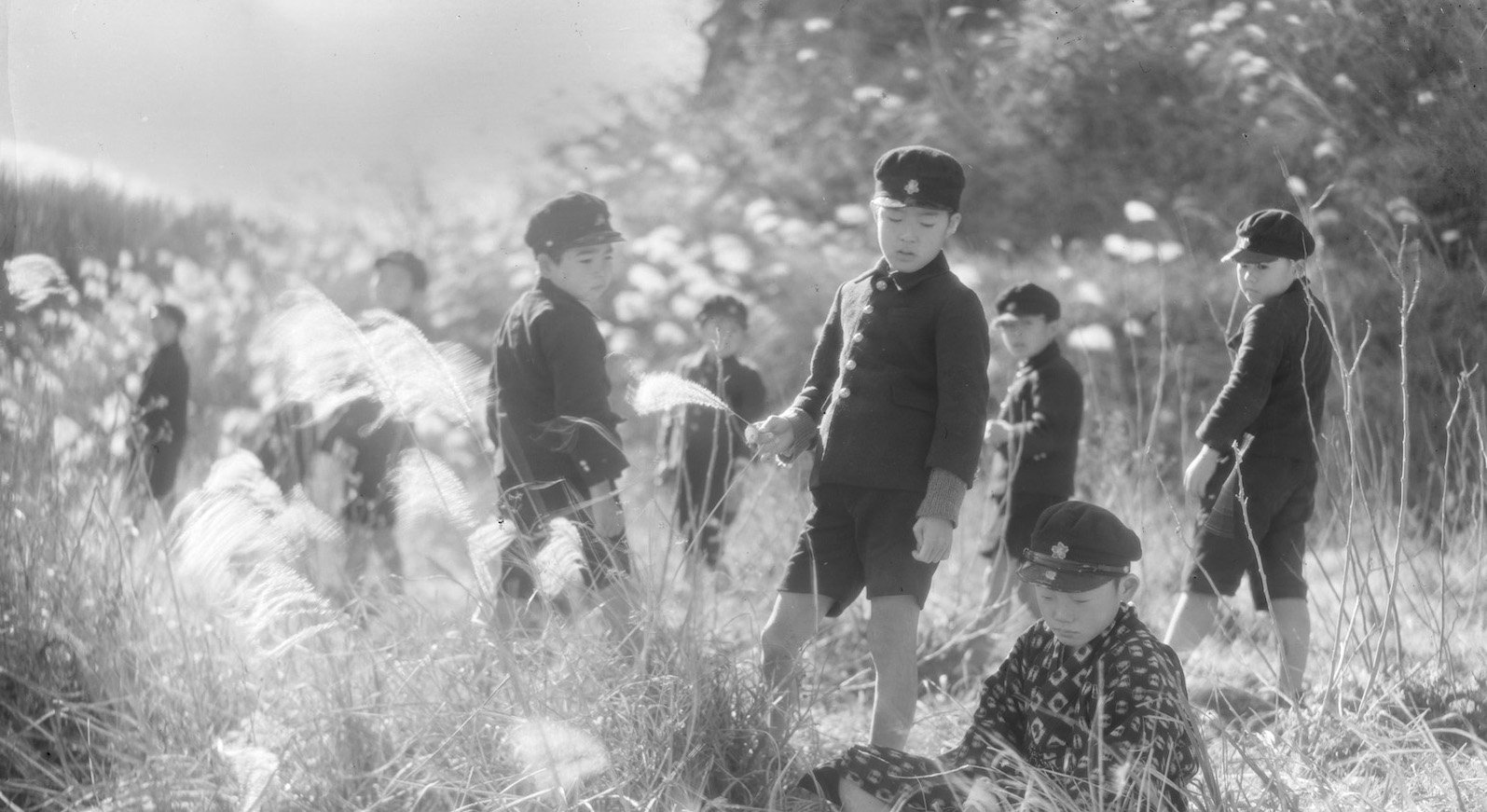 A black-and-white image from the 1930s of young Japanese boys dressed in school uniforms and caps standing amidst a sun-dappled field of wheat