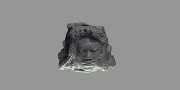A 3D printed sculpture titled Gray Matter which takes the form of a bust of an African American woman's head with her eyes closed, with a skull protruding from the side of the head.