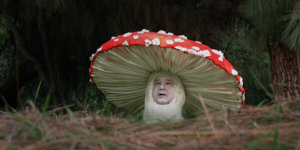 A fanciful image of a mushroom with a red, white-spotted cap and a human face looks up from the ground.