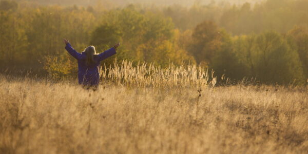 A woman in a sundappled field of tall wheat raising her hands to the sky.