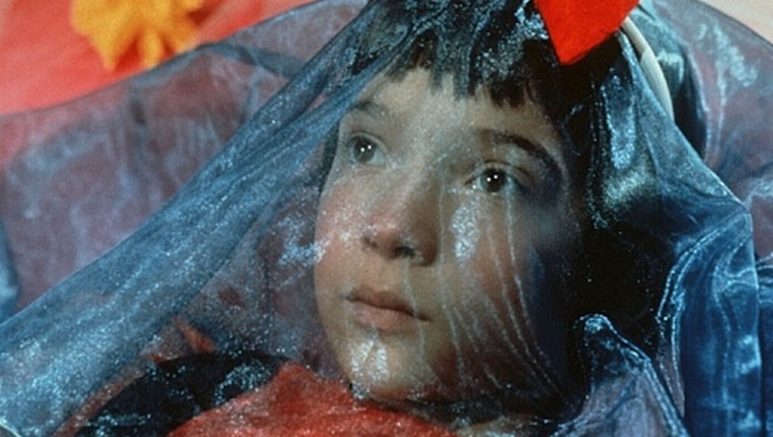 A close up of a dark haired child looking up from behind a blue veil